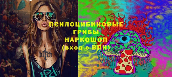 a pvp Краснослободск